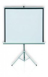 Ekran projekcyjny na trójnogu 69''